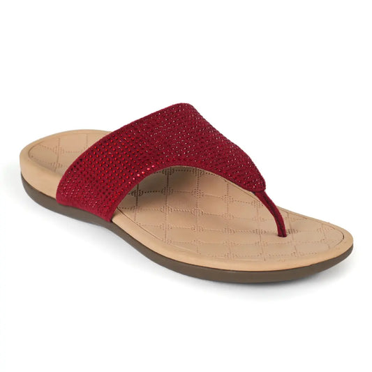 Iris Maroon